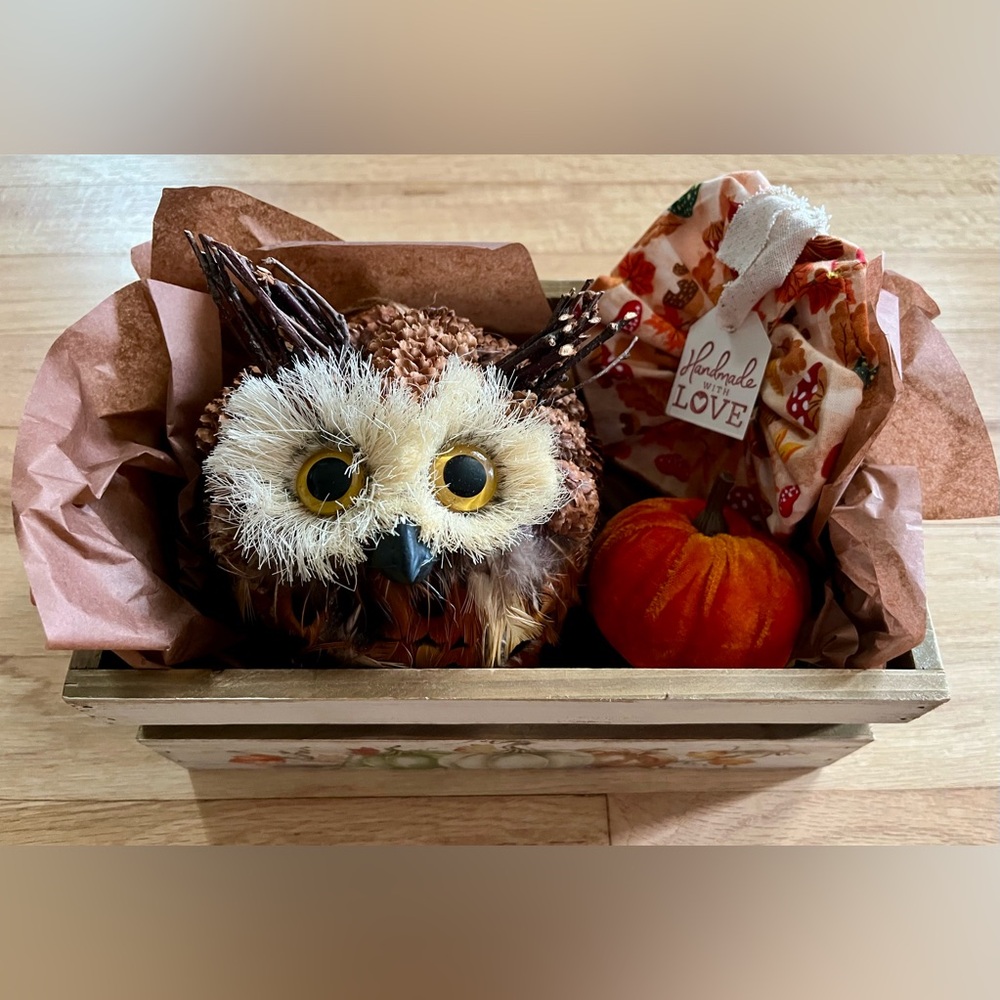 Cute Fall Gift Basket! Owl Pumpkin Country Folk